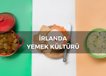 İrlanda’da Mühendis Olmak